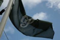 GPFLAG 3